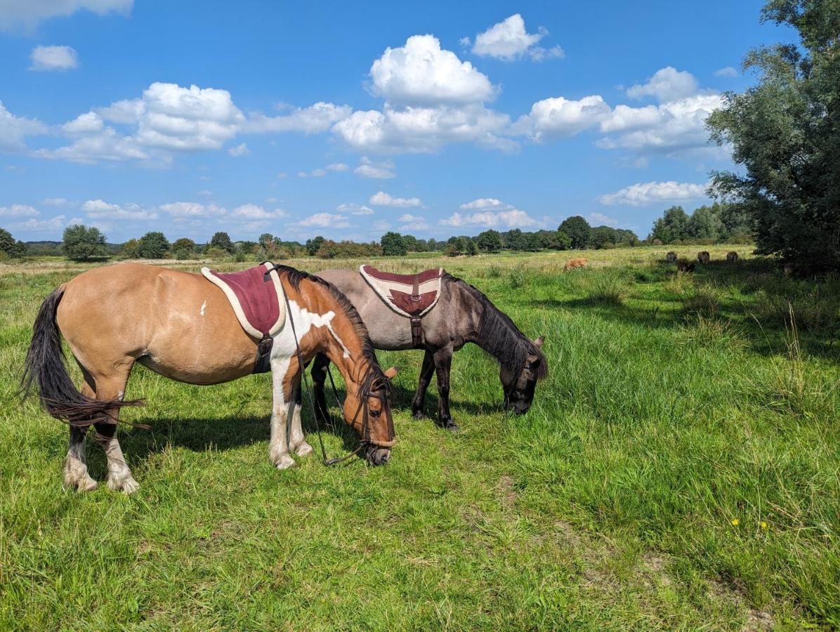 Klavertje 4 Middelaar 外观 照片